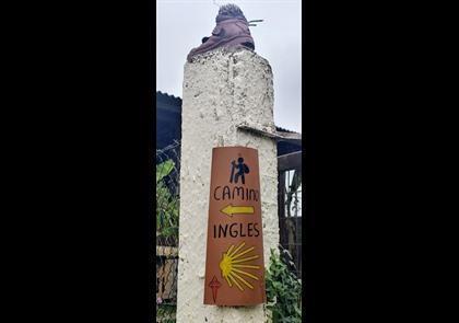 Groepsreis 9-daagse wandelvakantie Camino Inglés naar Compostela