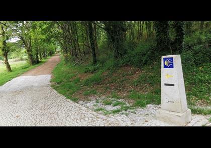 Groepsreis 9-daagse wandelvakantie Camino Inglés naar Compostela