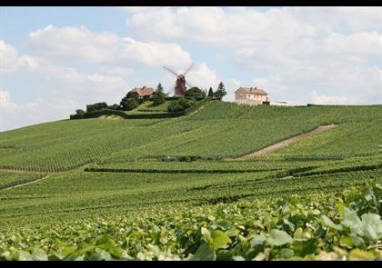 Groepsreis 5-daagse wandelvakantie Champagne 'light'