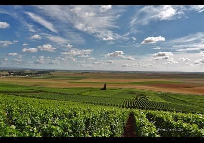 Groepsreis 5-daagse wandelvakantie Champagne 'light'