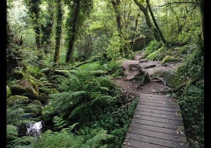 Groepsreis 10-daagse wandelvakantie naar Santiago de Compostela