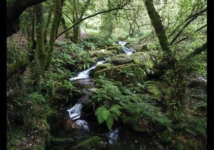 Groepsreis 10-daagse wandelvakantie naar Santiago de Compostela