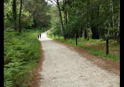 Groepsreis 10-daagse wandelvakantie naar Santiago de Compostela