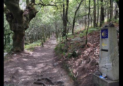 Groepsreis 10-daagse wandelvakantie naar Santiago de Compostela