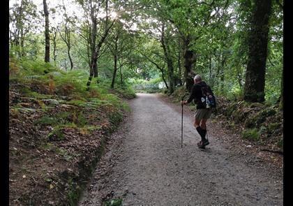 Groepsreis 10-daagse wandelvakantie naar Santiago de Compostela