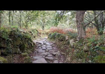 Groepsreis 10-daagse wandelvakantie naar Santiago de Compostela