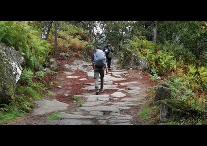 Groepsreis 10-daagse wandelvakantie naar Santiago de Compostela