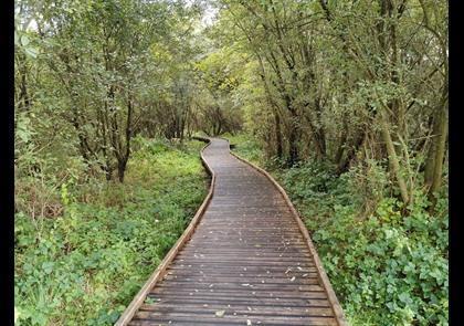 Groepsreis 5-daagse wandelvakantie Côte d'Opale 'light'