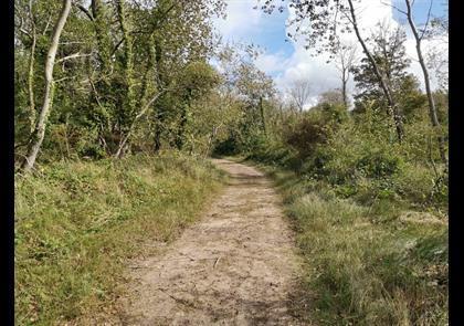 Groepsreis 5-daagse wandelvakantie Côte d'Opale 'light'