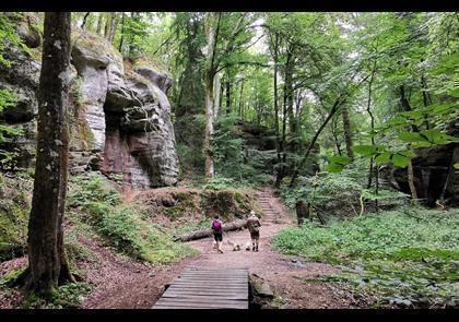 Groepsreis 4-daagse wandelvakantie Müllerthal (Luxemburg)