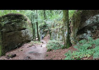 Groepsreis 4-daagse wandelvakantie Müllerthal (Luxemburg)