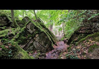 Groepsreis 4-daagse wandelvakantie Müllerthal (Luxemburg)