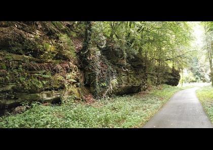 Groepsreis 4-daagse wandelvakantie Müllerthal (Luxemburg)