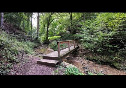 Groepsreis 4-daagse wandelvakantie Müllerthal (Luxemburg)