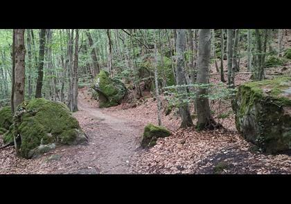 Groepsreis 4-daagse wandelvakantie Müllerthal (Luxemburg)