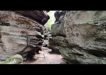 Groepsreis 4-daagse wandelvakantie Müllerthal (Luxemburg)