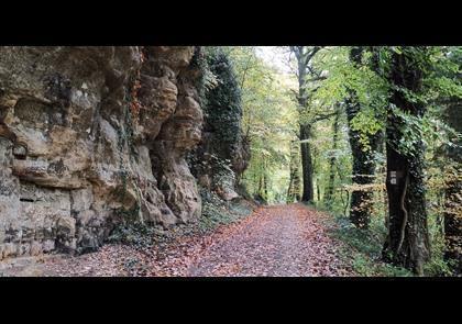 Groepsreis 4-daagse wandelvakantie Müllerthal (Luxemburg)