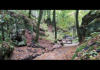 Groepsreis 4-daagse wandelvakantie Müllerthal (Luxemburg)