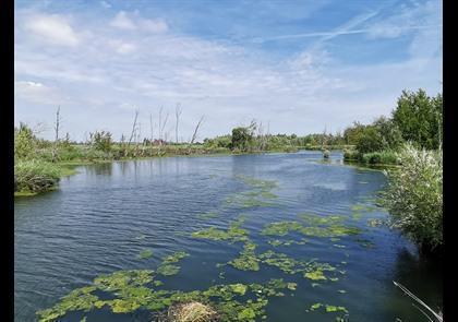 Groepsreis 5-daagse wandelvakantie Noord-Brabant 'light'