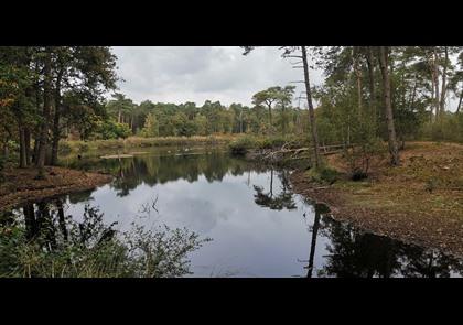 Groepsreis 5-daagse wandelvakantie Noord-Brabant 'light'