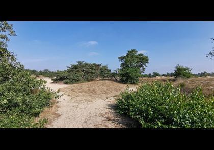 Groepsreis 5-daagse wandelvakantie Noord-Brabant 'light'