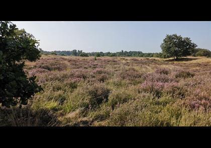 Groepsreis 5-daagse wandelvakantie Noord-Brabant 'light'