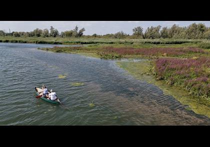 Groepsreis 5-daagse wandelvakantie Noord-Brabant 'light'