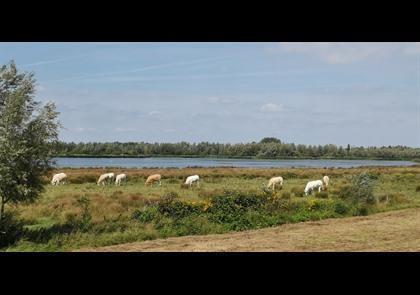 Groepsreis 5-daagse wandelvakantie Noord-Brabant 'light'