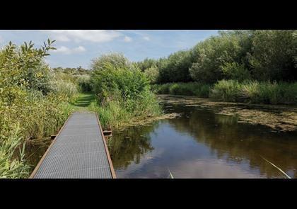 Groepsreis 5-daagse wandelvakantie Noord-Brabant 'light'