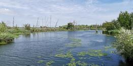 Groepsreis 5-daagse wandelvakantie Noord-Brabant 'light'