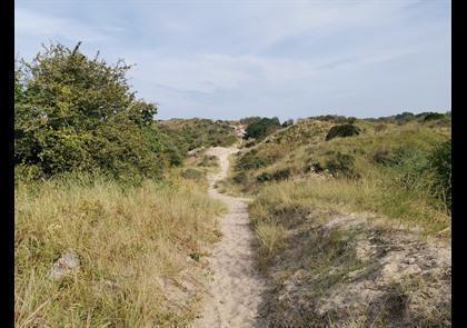 Groepsreis 4-daagse wandelvakantie Côte d'Opale 