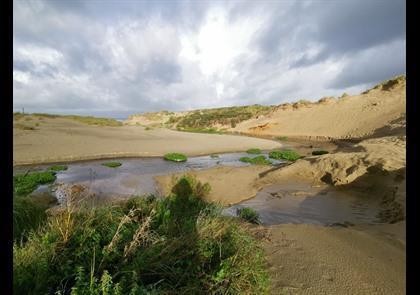 Groepsreis 4-daagse wandelvakantie Côte d'Opale 