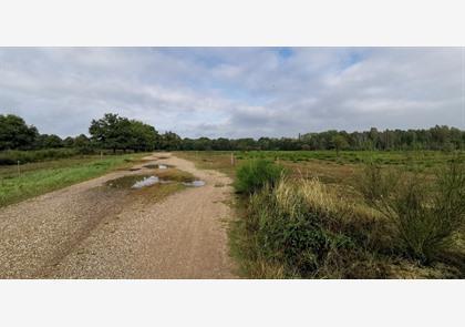 Groepsreis 4-daagse Rijn wandelvakantie