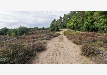 Groepsreis 4-daagse Rijn wandelvakantie