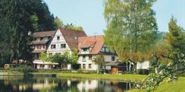 Noord-Vogezen 3 dagen hotel 3* incl. 1x diner