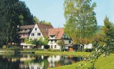 Noord-Vogezen 3 dagen hotel 3* incl. 1x diner