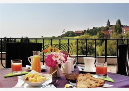 Elzas wijnroute 4 dagen hotel 3* incl. half pension va. € 215 pp