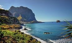 Madeira, 8-daagse fly & drive 'Exotisch bloemeneiland'