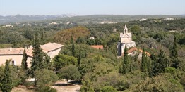 Alle promoties en rondreizen Provence