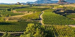 Gastronomie in Spaans Baskenland rondreis 8 dagen fly & drive
