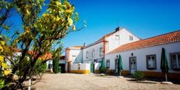 Rondreis 8 dagen langs kusten van Lissabon en Centraal-Portugal