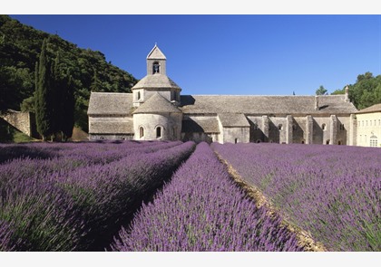 Provence 9-daagse rondreis met eigen wagen va. € 580 pp