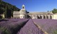 Provence 9-daagse rondreis met eigen wagen va. € 580 pp