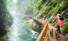 11-daagse rondreizen Slovenië en Friuli-Venezia Giulia