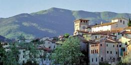 Wijnregio's Toscane en De Marken, 8-daagse rondreis