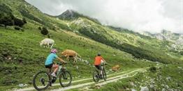 Slovenië: 5-daagse fietsvakantie in de Soca-vallei