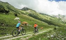 Slovenië: 5-daagse fietsvakantie in de Soca-vallei