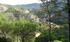 8-daagse rondreis Andalusië, wandelen op 3 locaties