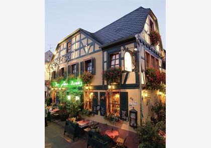 Rijn (Rüdesheim) 4 dagen in hotel*** va. € 315 pp