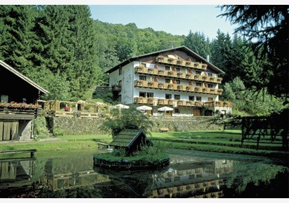 Vulkaaneifel 3 of 4 dagen in hotel*** incl. 2x diner va. € 159 pp